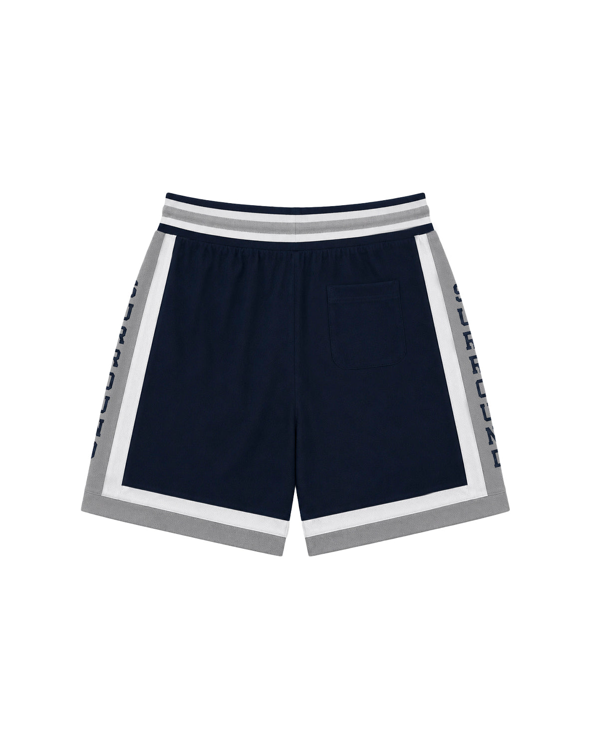 Striped Mesh Shorts